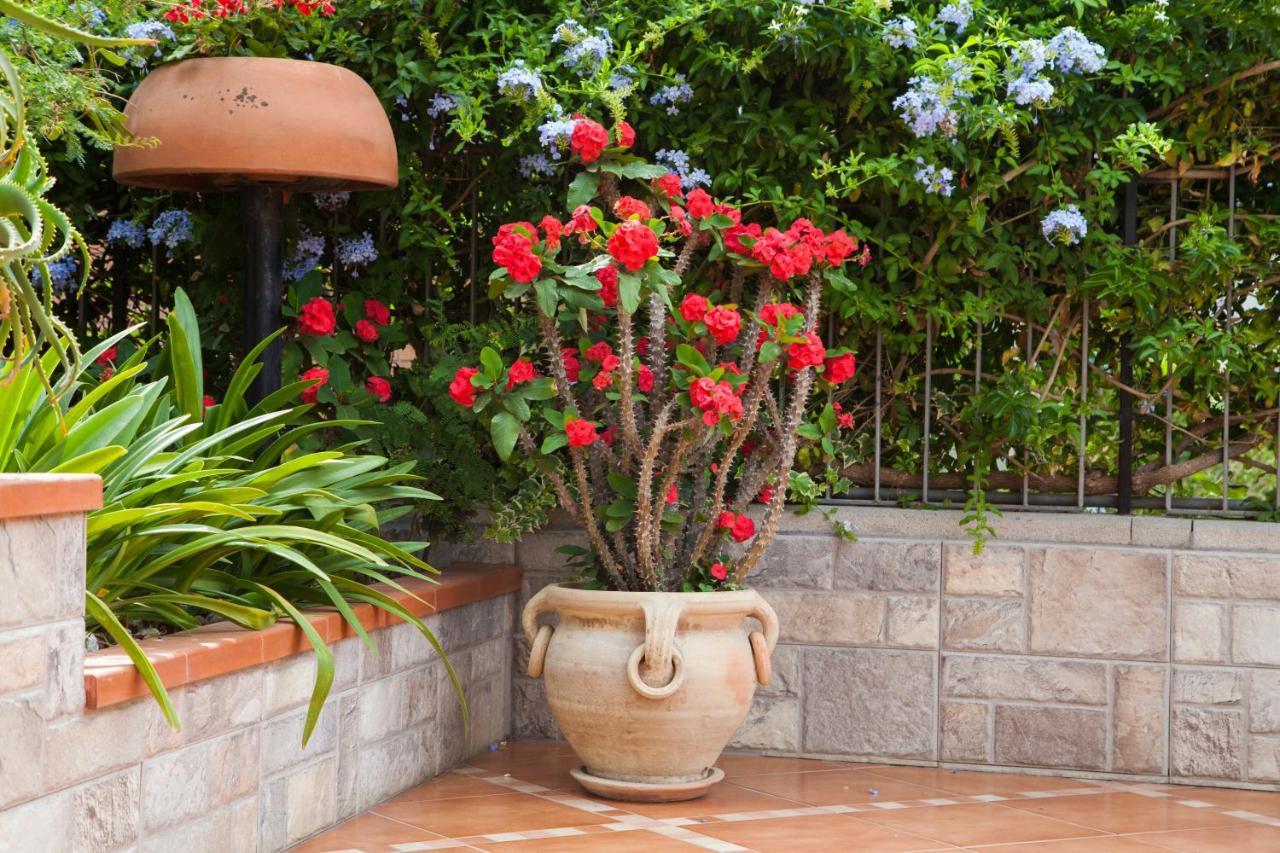 SantʼAlessio Siculo B&B Villa Carmen מראה חיצוני תמונה